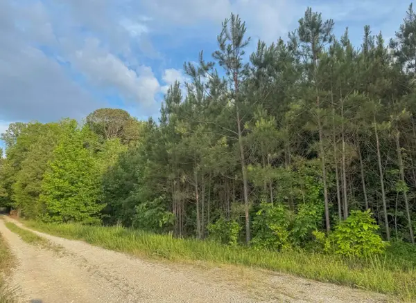 Tract #2 Dry Branch Road, Steens, MS 39766