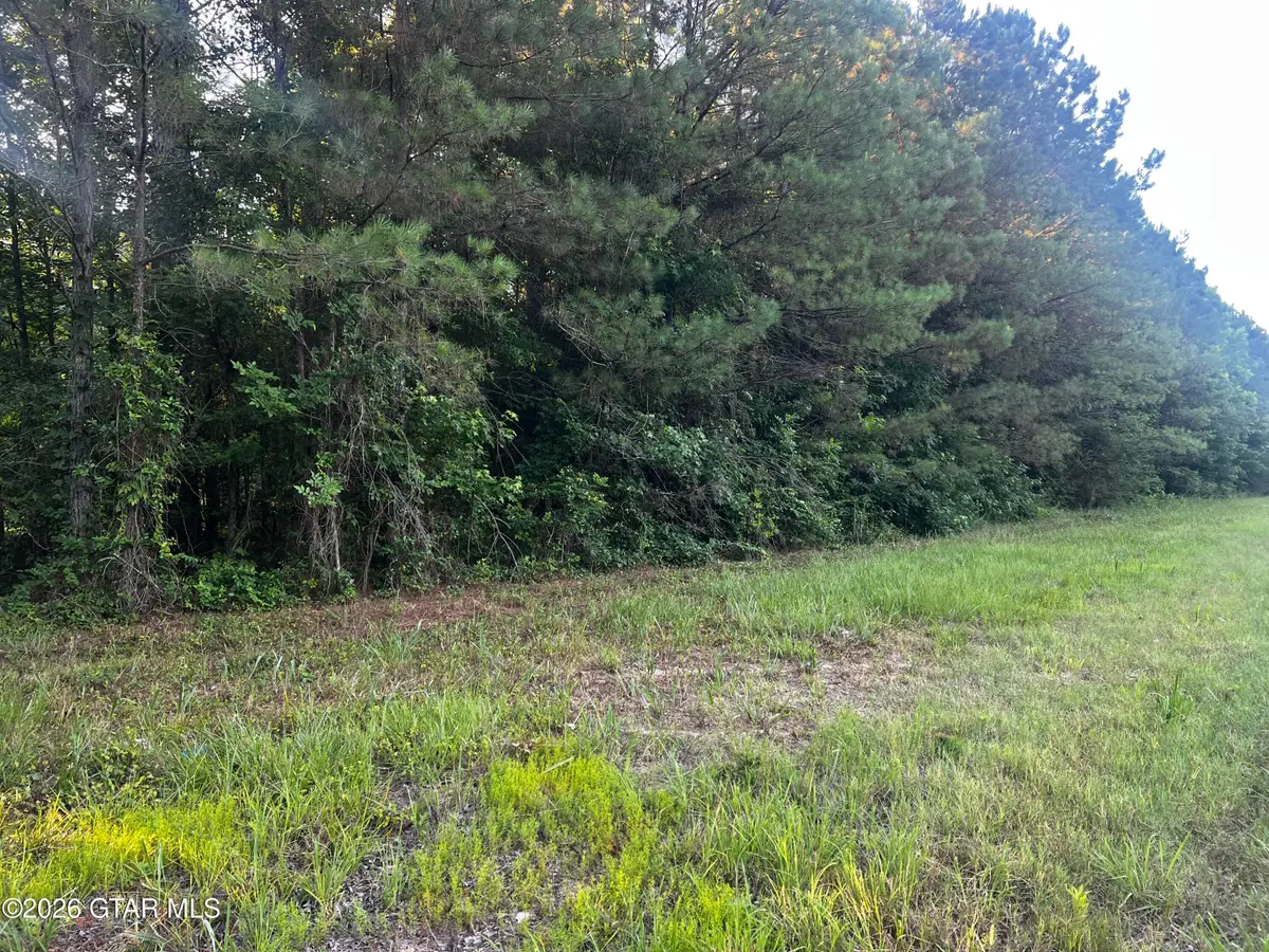 Highway 12 East, Steens, MS 39766 - #1