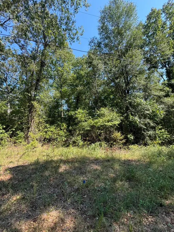 Lake Lurleen Rd, Coker, AL 35452