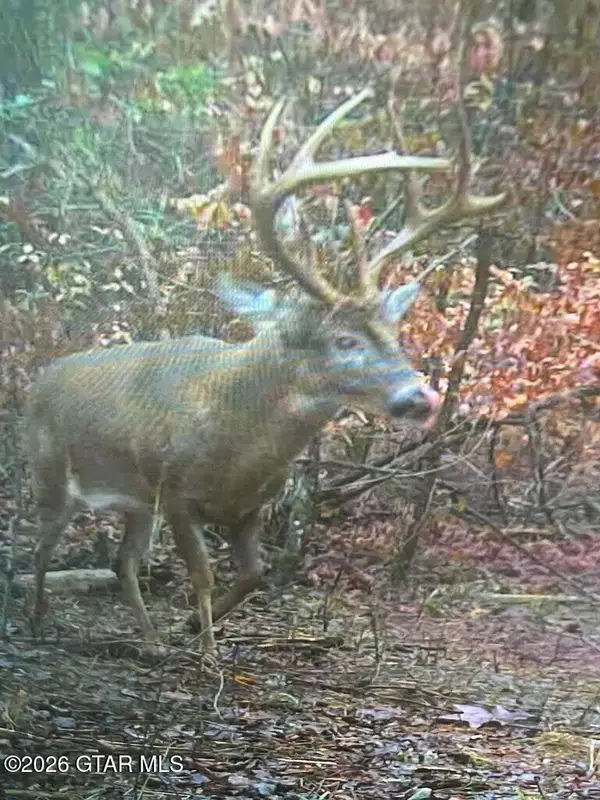 0 County Road 121, Vardaman, MS 38878