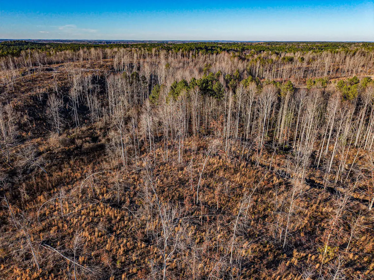 00 Co Rd 3480, New Site, MS 38859 - Image #1