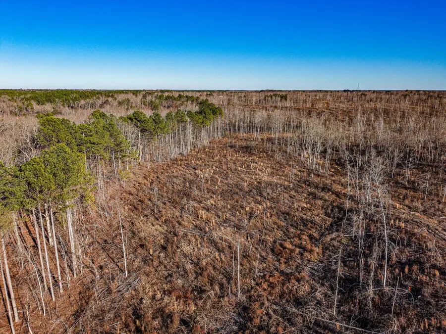 00 Co Rd 3480, New Site, MS 38859 - Image #2