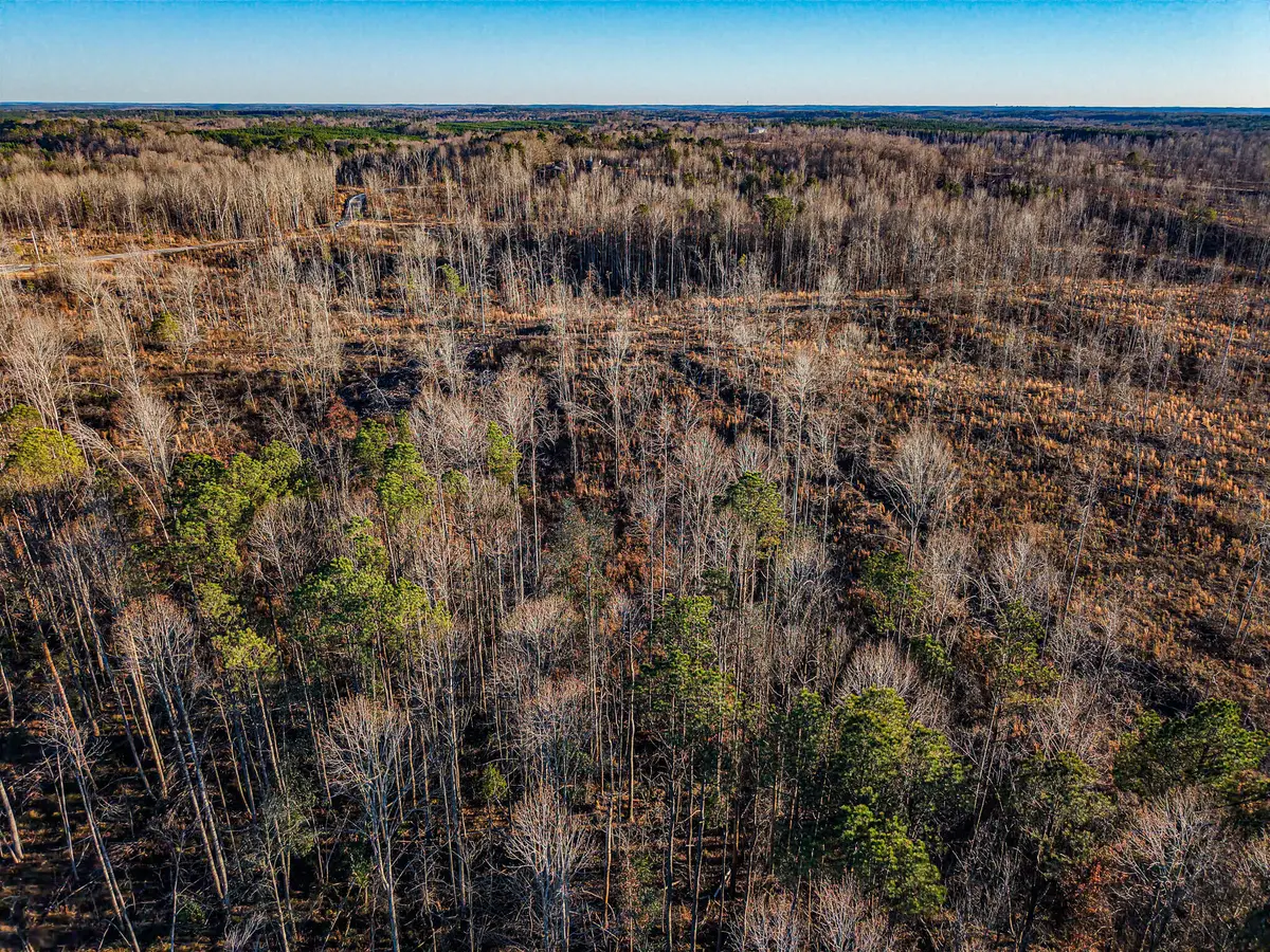 0 Co Rd 3485, New Site, MS 38859 - Image #1