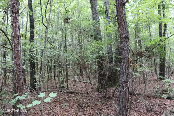 Dixie, Woodland, MS 39776