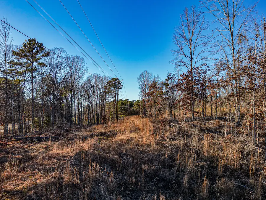 0 Hwy 4, New Site, MS 38859 - Image #3