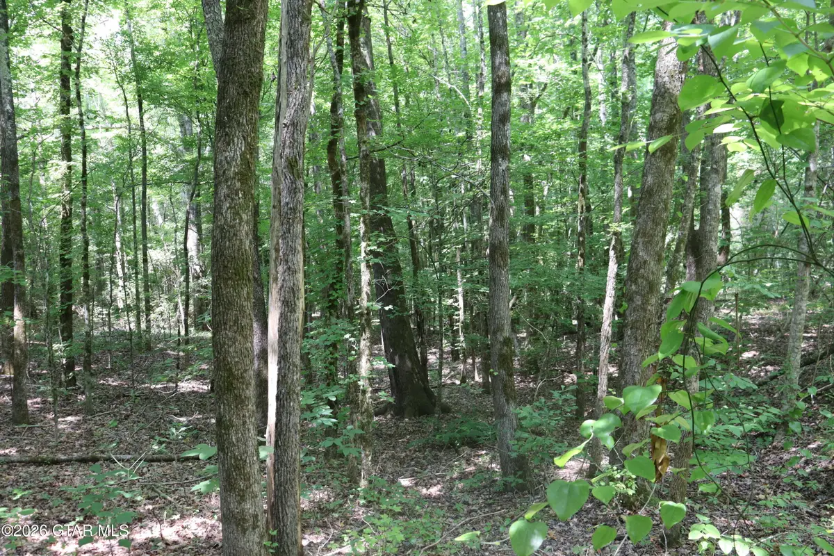 Collums, Pontotoc, MS 38863 - #1