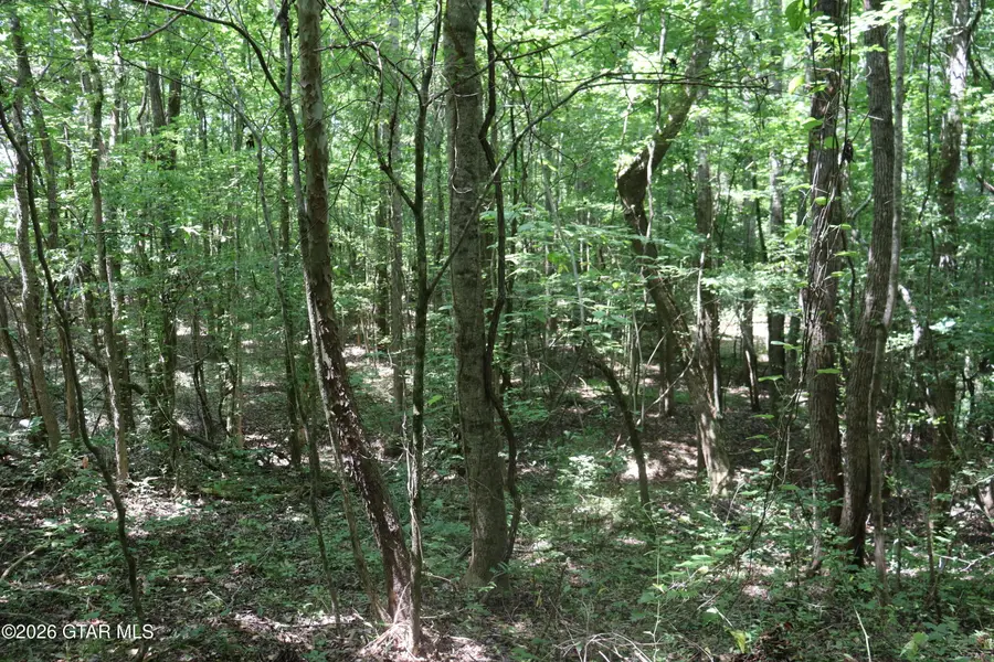 Collums, Pontotoc, MS 38863 - #3