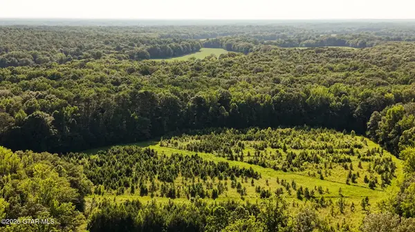 Deer Hill, Nettleton, MS 38858