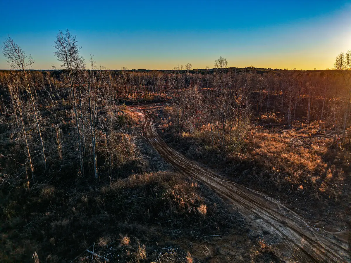 0 Hwy 4, New Site, MS 38859 - Image #1