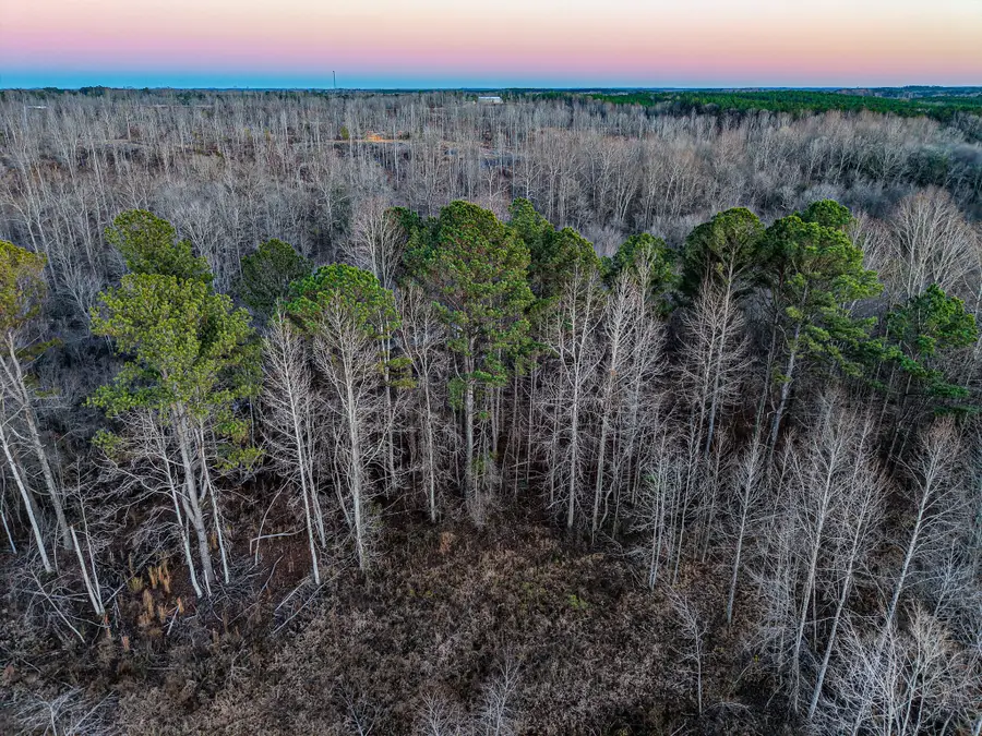 0 Hwy 4, New Site, MS 38859 - Image #2