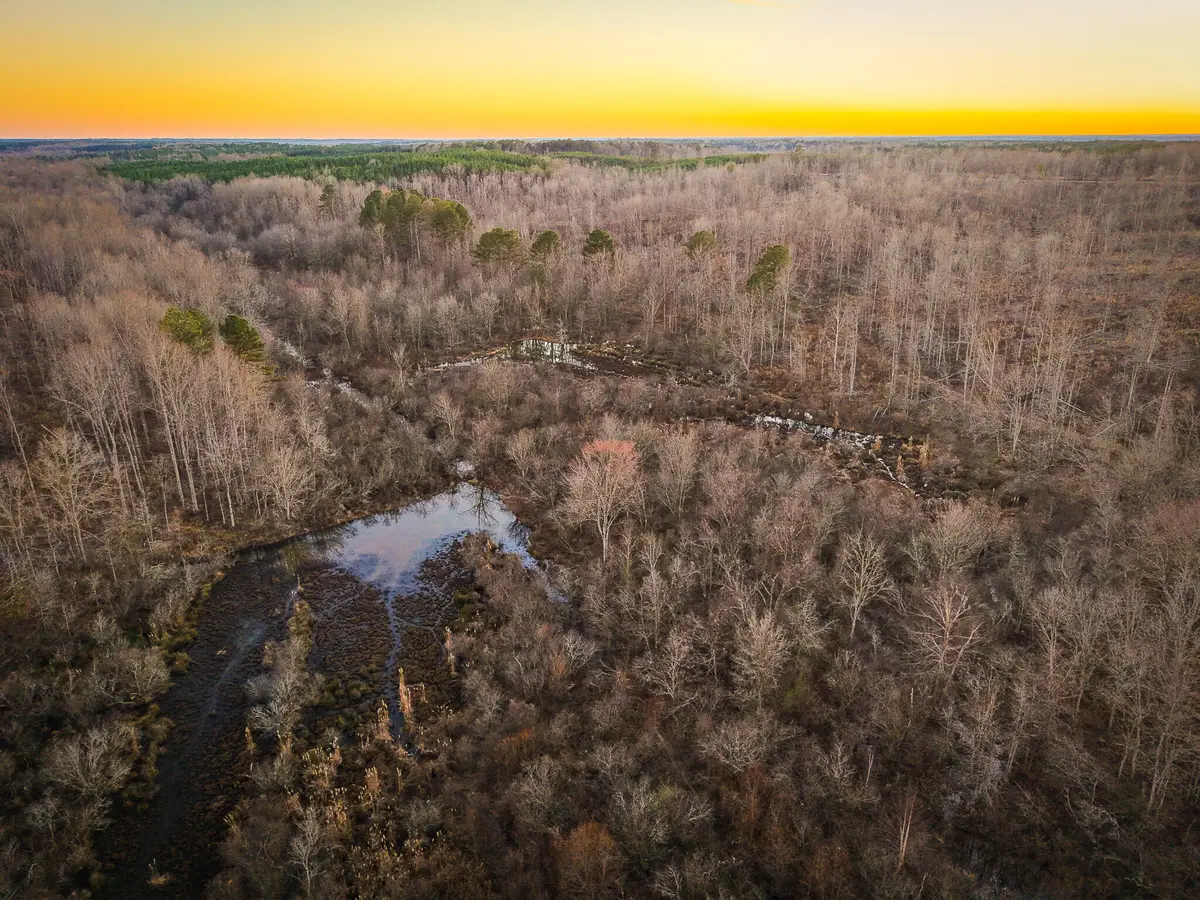 0 Hwy 4, New Site, MS 38859 - Image #1