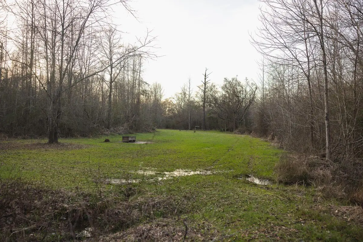 Sandyland Rd, Brooksville, MS 39341 - #1