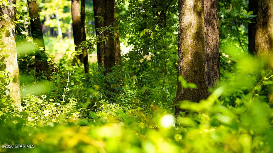 Lot3 Cypress Pointe, Brooksville, MS 39739 - #3