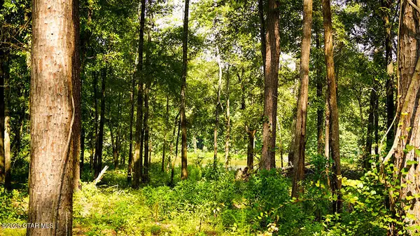Lot4 Cypress Pointe, Brooksville, MS 39739