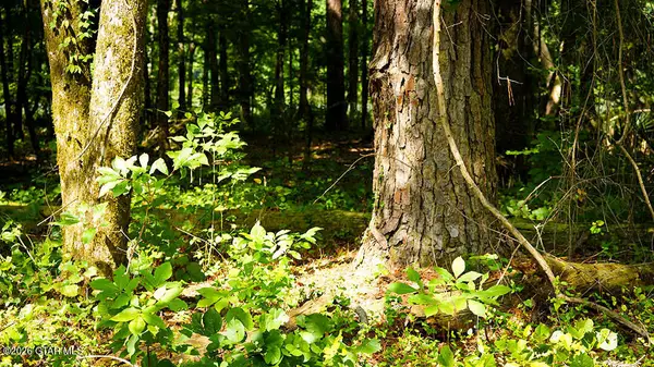 Lot7 Cypress Point, Brooksville, MS 39739