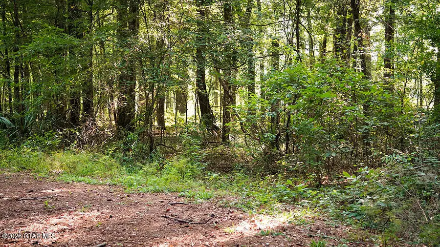 Lot13 Cypress Pointe, Brooksville, MS 39739 - #2
