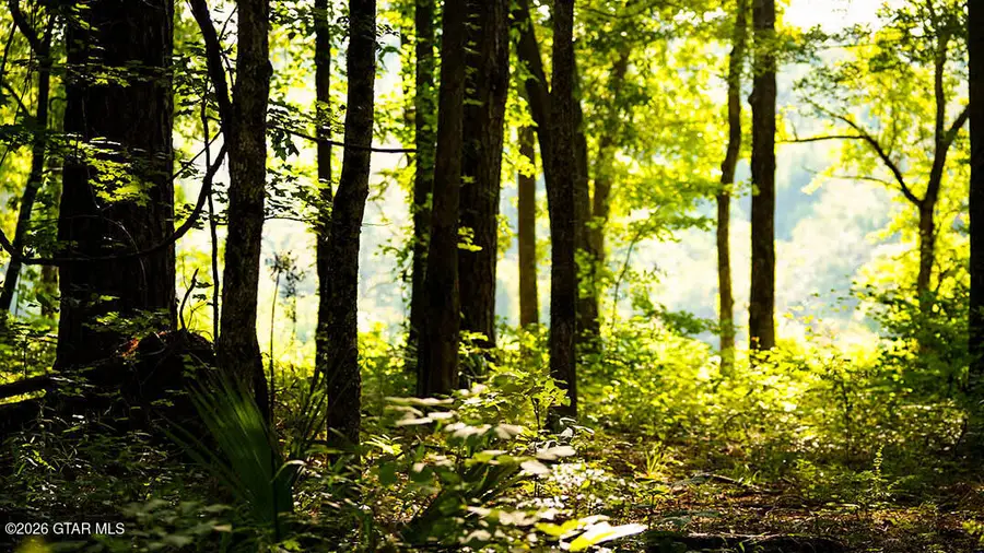 Lot14 Cypress Pointe, Brooksville, MS 39739 - #2