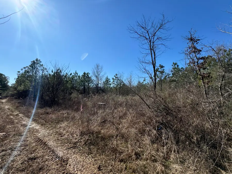 0 E Minnie Vaughn Rd, Columbus, MS 39702 - Image #2