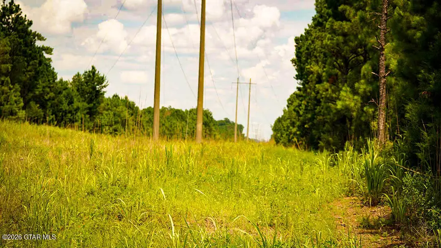 Us-11, York, AL 36925 - #3