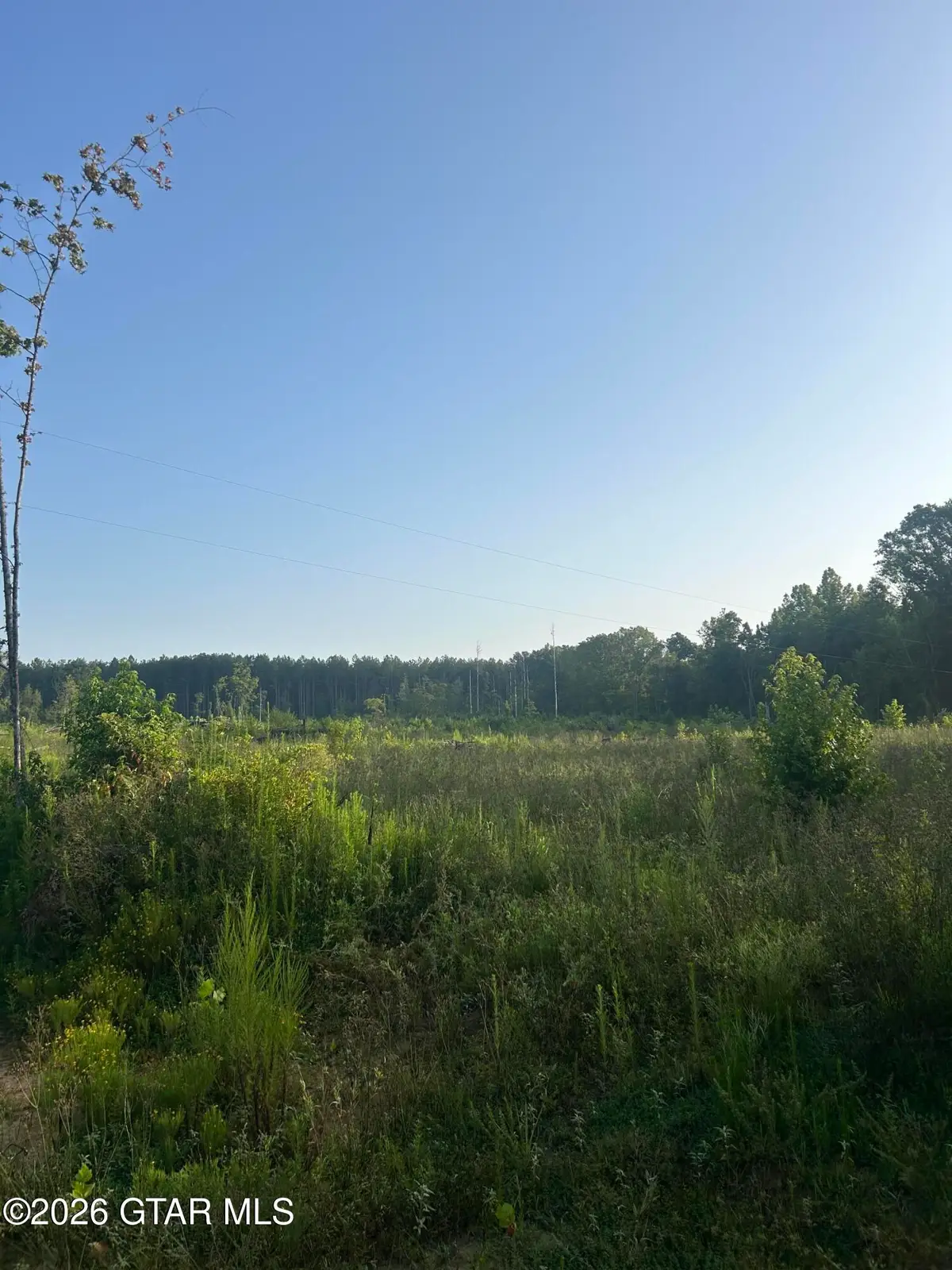 Co Rd 4112, Sallis, MS 39160 - #1