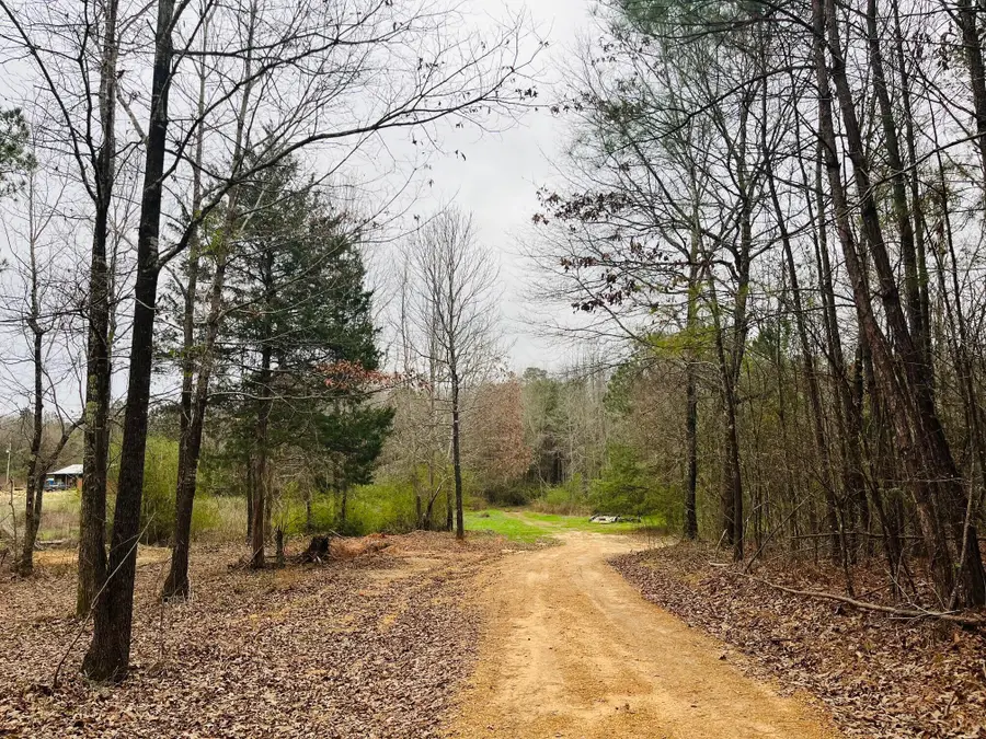 Seely Rd, Hamilton, MS 39746 - Image #2