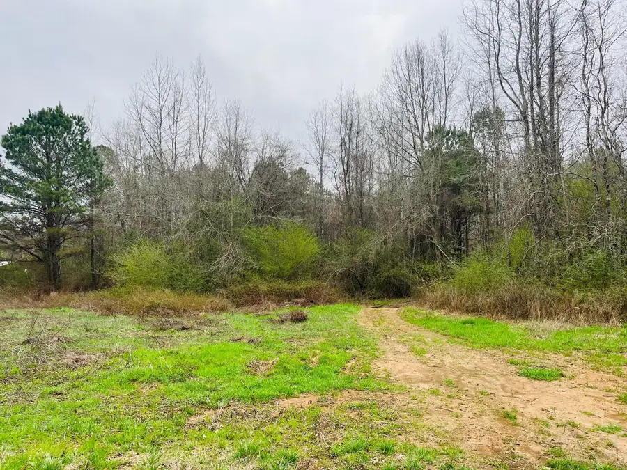 Seely Rd, Hamilton, MS 39746 - Image #3