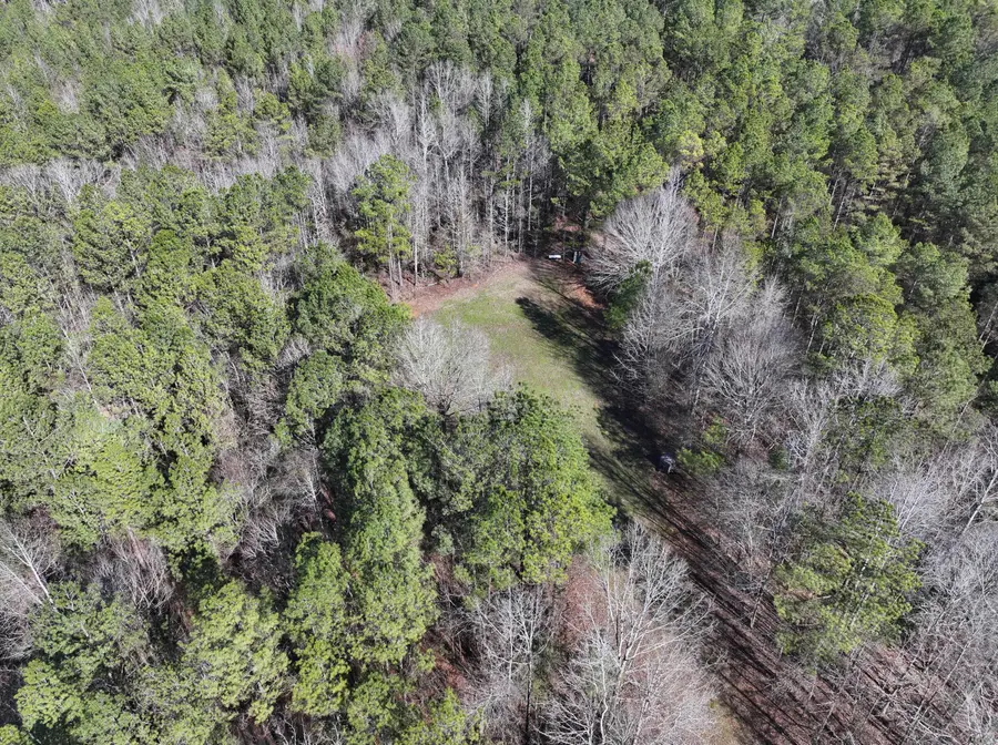 Al-86, Carrollton, AL 35447 - #2