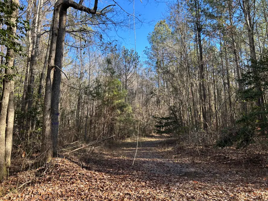 Al-86, Carrollton, AL 35447 - #3