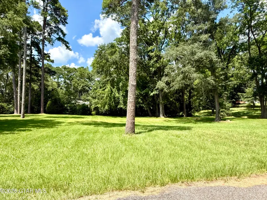 102 Ward, Louisville, MS 39339 - #3