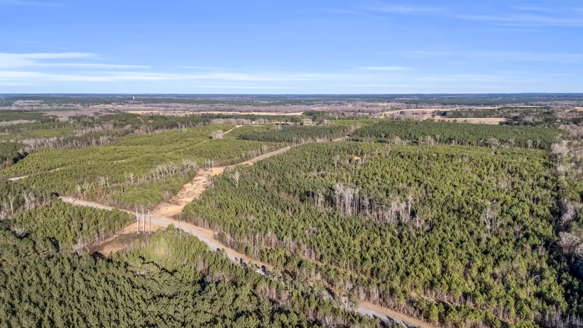 0 Young Crossing Rd, Louisville, MS 39339 - Image #1