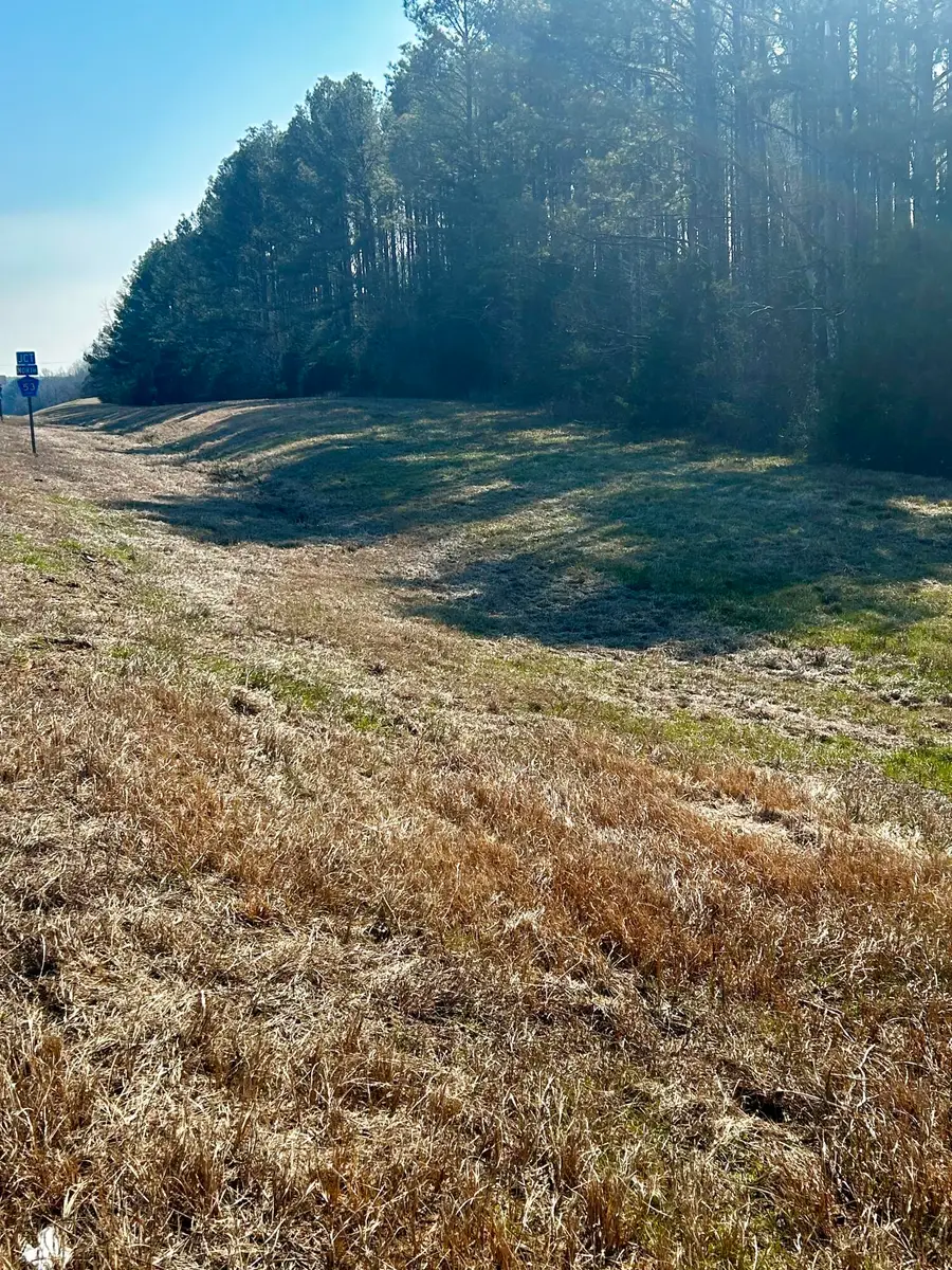 Hwy Us-82, Ethelsville, AL 35461 - #3