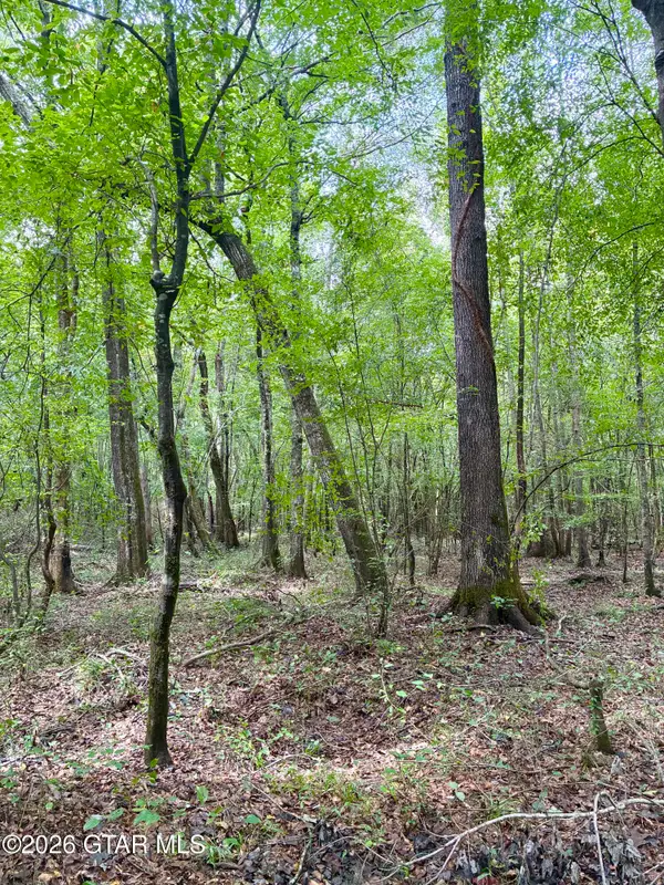 County Road 303, Mathiston, MS 39752