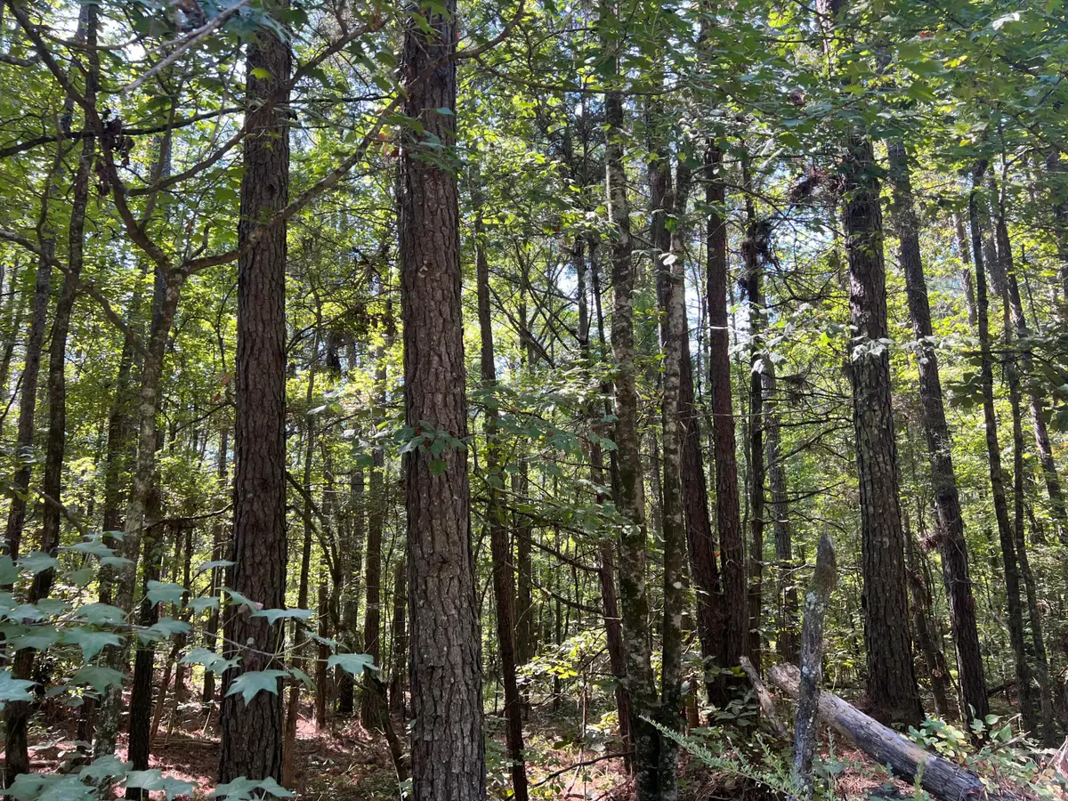 Cr 4022, Kosciusko, MS 39090 - Image #1