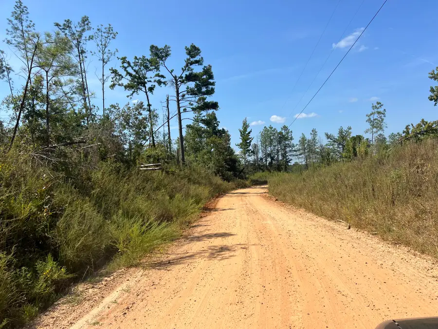 Cr 4022, Kosciusko, MS 39090 - Image #2