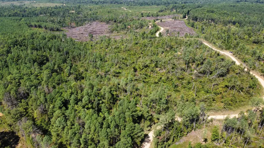 Cr 4022, Kosciusko, MS 39090 - Image #3