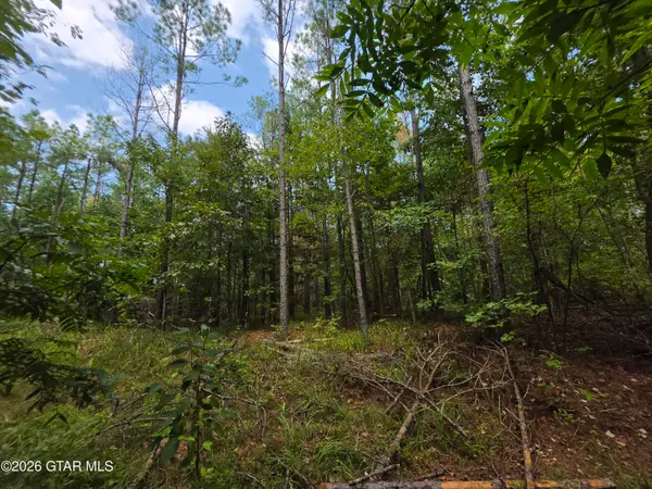 80+/- Acres Webster, Bellefontaine, MS 39737