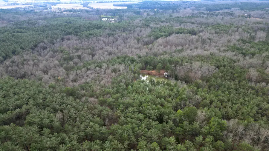 Co Rd 13, Calhoun City, MS 38916 - #2