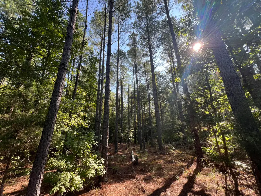 Co Rd 211, Vaiden, MS 39176 - #2