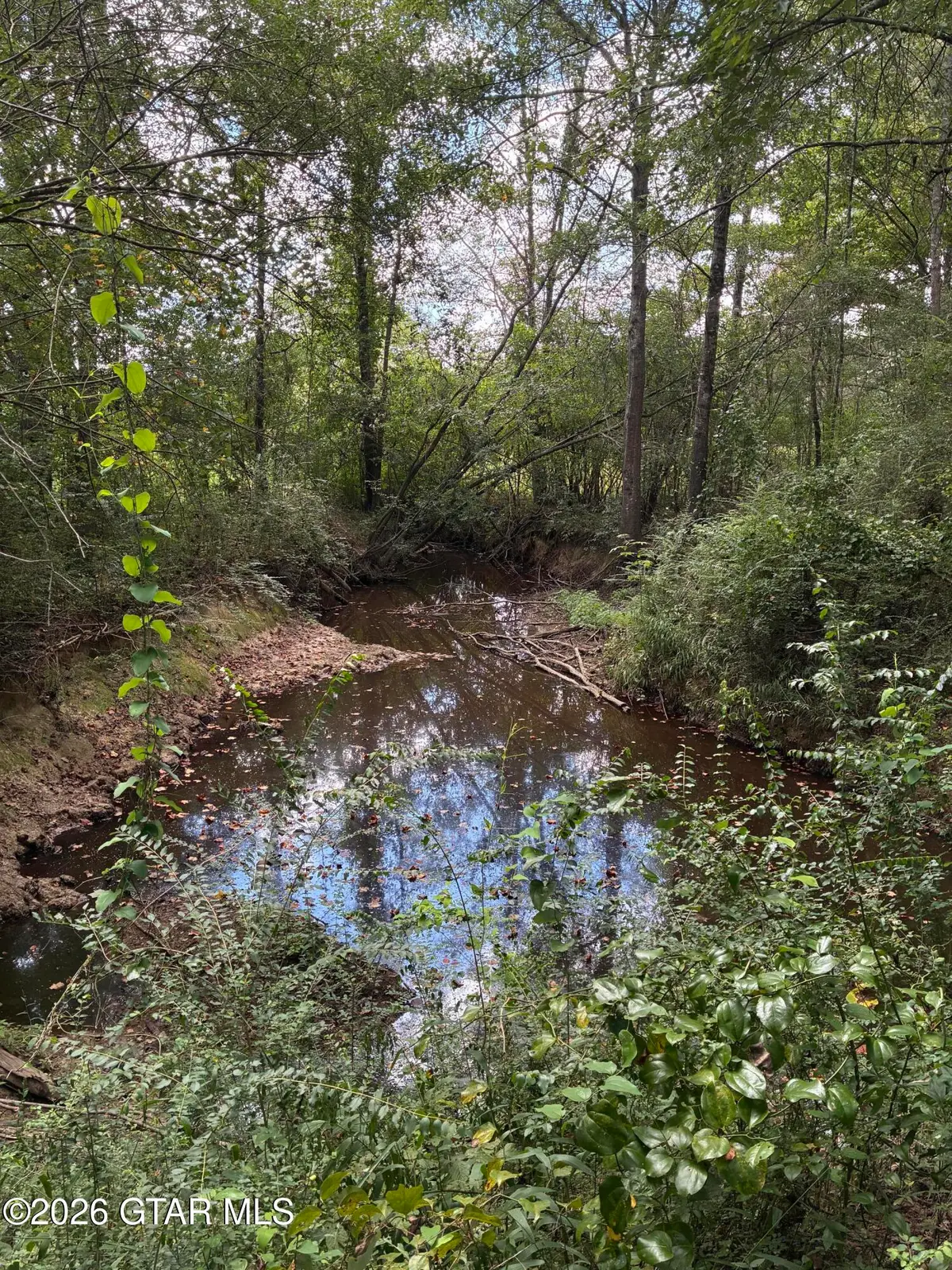 Hwy 15, Ackerman, MS 39735 - #1