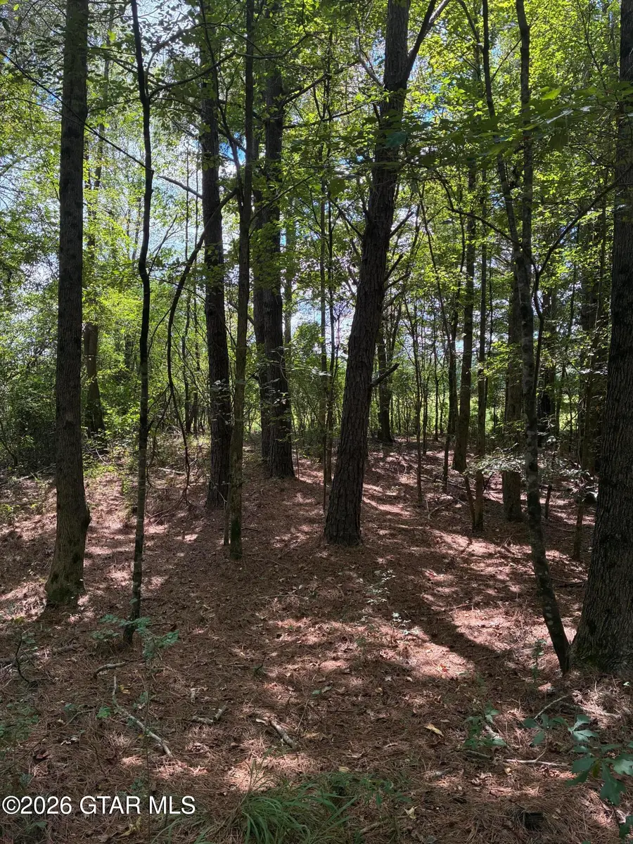 Hwy 15, Ackerman, MS 39735 - #2