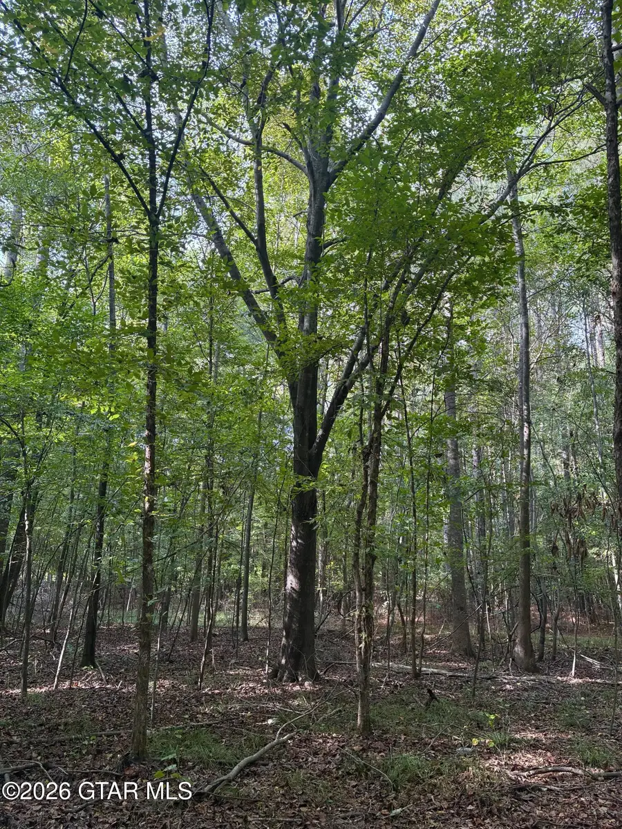 N Enon Rd, Ackerman, MS 39735 - #2