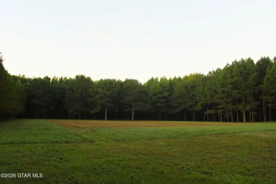 160 Crowder Creek, Carthage, MS 39051 - #3