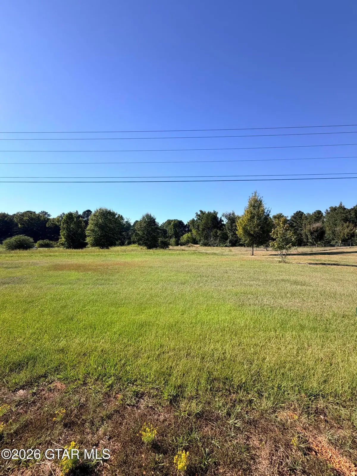 0 Wolfe Lot 2, Columbus, MS 39705 - #1