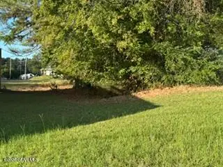 TBD Webster, Maben, MS 39750 - #1