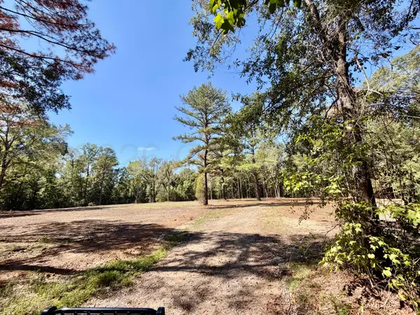 1420 Bennett, Livingston, AL 35470