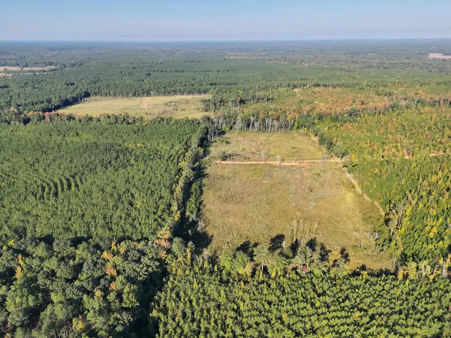 Bluff Springs, Eupora, MS 39744 - #3