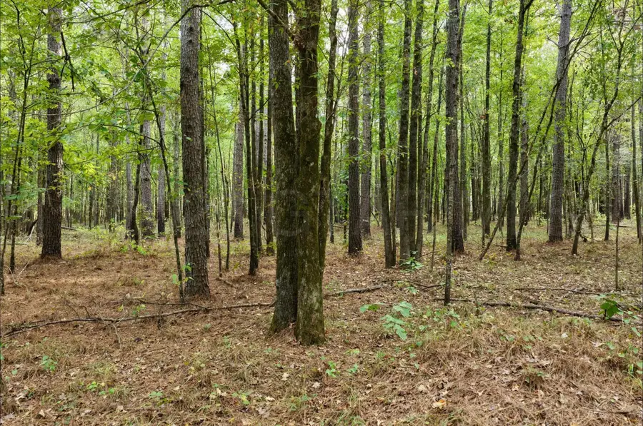 10144 Mississippi 12, Starkville, MS 39759 - #3
