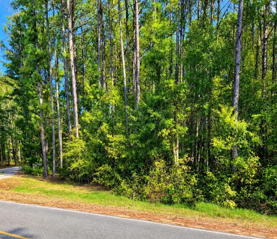 Craig Springs, Sturgis, MS 39769 - #2