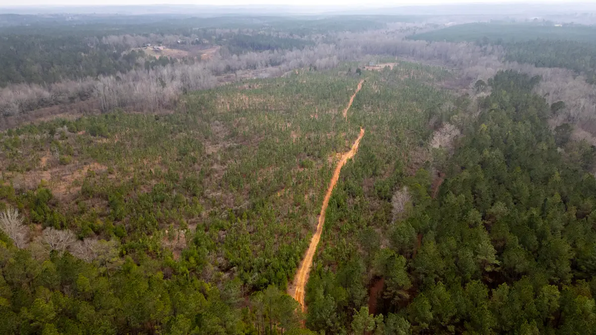 Tamola Rd, Lauderdale, MS 39335 - #1