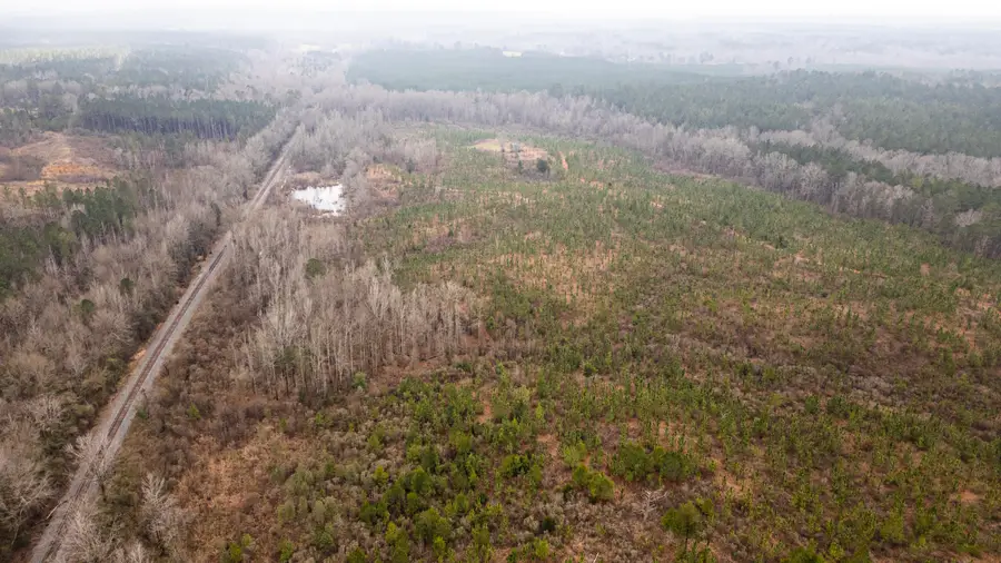 Tamola Rd, Lauderdale, MS 39335 - #2